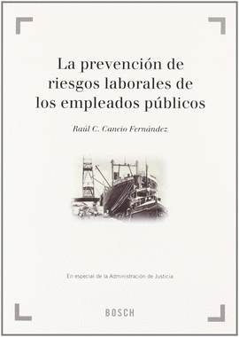 PREVENCION RIESGOS LABORABLES DE LOS EMPLEADOS PUBLICOS, LA