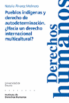 PUEBLOS INDIGENAS Y DERECHO DE AUTODETERMINACION.