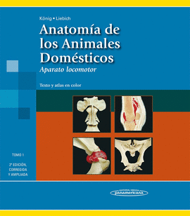 ANATOMA DE LOS ANIMALES DOMSTICOS TOMO 1 2 ED