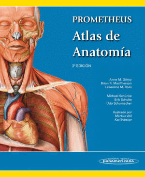 PROMETHEUS ATLAS DE ANATOMA