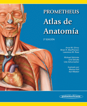 PROMETHEUS ATLAS DE ANATOM�A