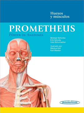 PROMETHEUS. POSTER DE ANATOMIA