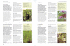 ENCICLOPEDIA ILUSTRADA DEL HUERTO ECOL�GICO Y COCINA ECOL�GICA