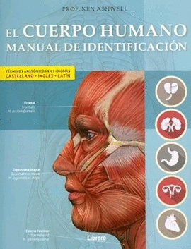CUERPO HUMANO, EL. MANUAL DE IDENTIFICACION
