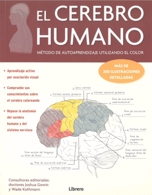 CEREBRO HUMANO, EL