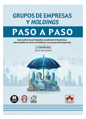 GRUPOS DE EMPRESAS Y HOLDINGS. PASO A PASO